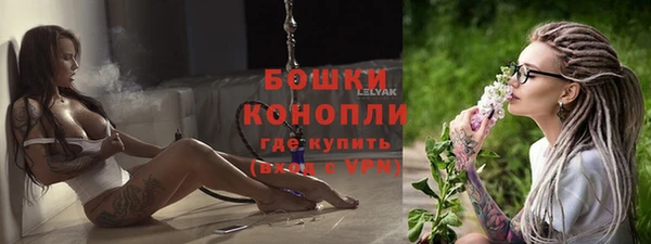 сатива Дмитровск
