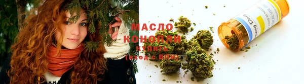 скорость Ельня