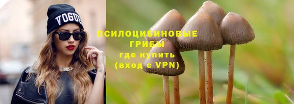 скорость Ельня