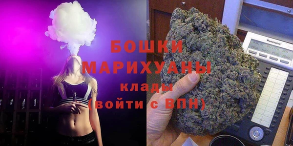 дурь Шадринск