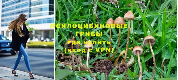 стаф Чердынь